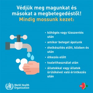 Ne feledkezzünk meg a rendszeres kézmosásról! 2